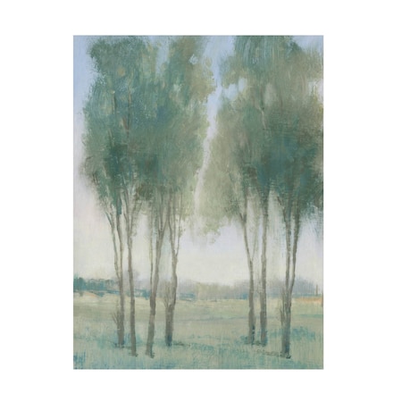 Tim OToole 'Tree Grove I' Canvas Art, 14x19